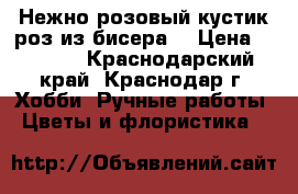 Нежно розовый кустик роз из бисера. › Цена ­ 1 000 - Краснодарский край, Краснодар г. Хобби. Ручные работы » Цветы и флористика   